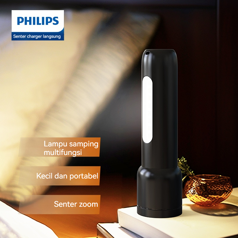 Philips Sfl 1123 Edc Portable  - огляд і ціна Outdoor Lighting Philips