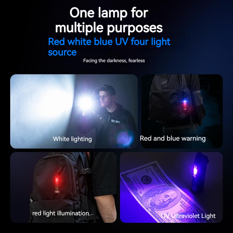 PHILIPS 2025 NEW SFL1121 EDC F - огляд і ціна Outdoor Lighting Philips