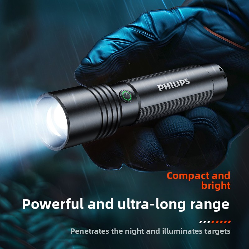 Home & Outdoor Philips SFL2146 - огляд і ціна Outdoor Lighting Philips