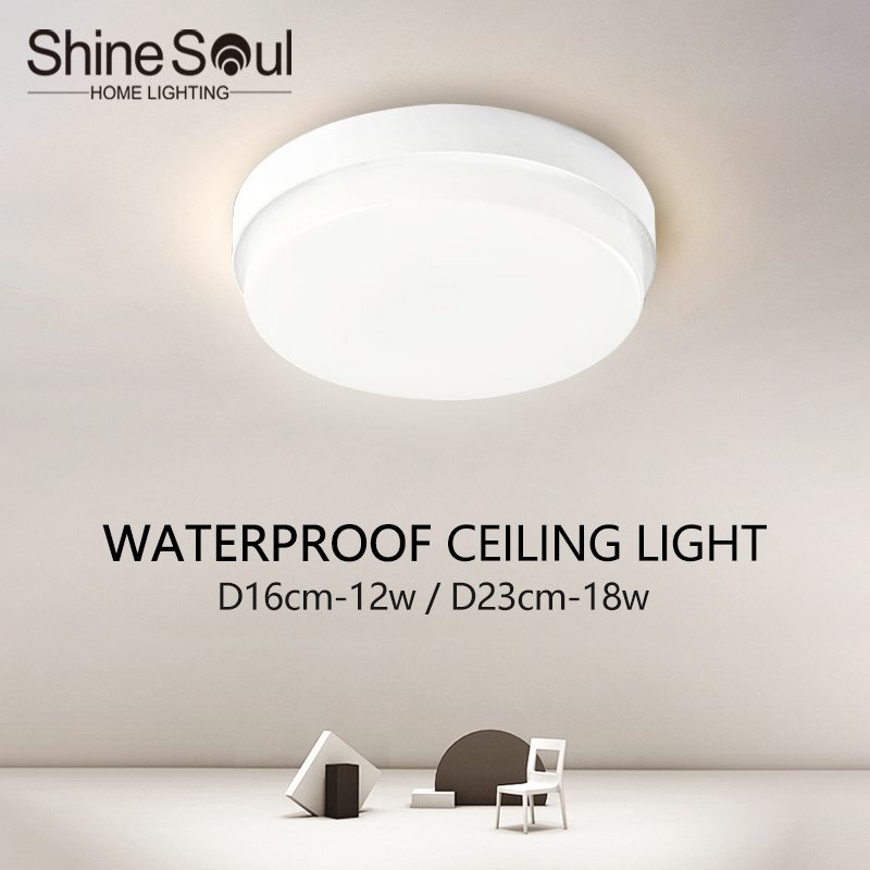 Modern IP65 Waterproof Ceiling - огляд і ціна Outdoor Lighting Year Round