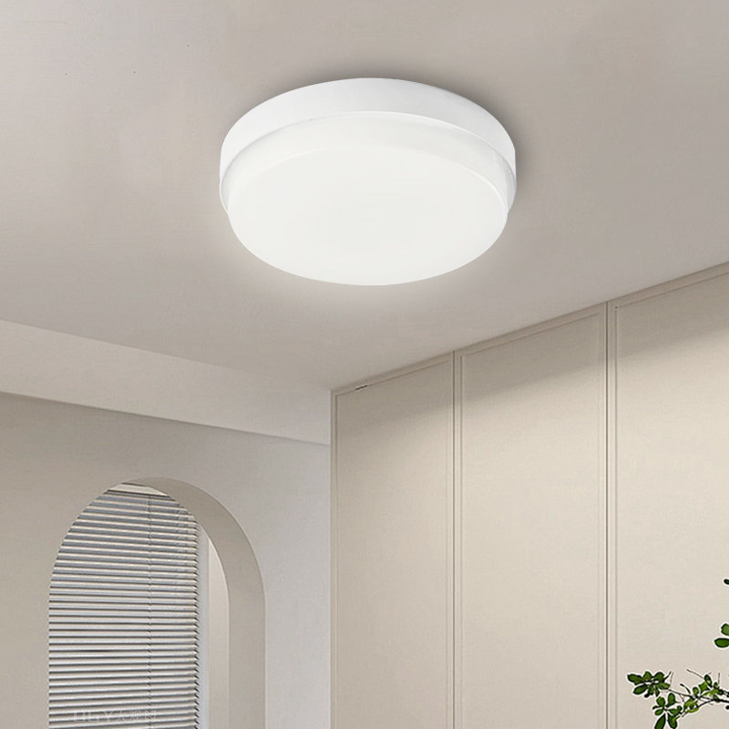 Modern IP65 Waterproof Ceiling - огляд і ціна Outdoor Lighting Year Round