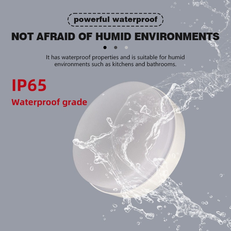 Modern IP65 Waterproof Ceiling - огляд і ціна Outdoor Lighting Year Round